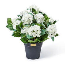 Load image into Gallery viewer, White Hydrangea Urn Filler