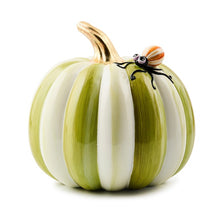 Load image into Gallery viewer, Fergal's Friend Spider on Small Moss Stripe Pumpkin
