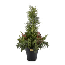 Load image into Gallery viewer, Holiday Cedar Tree Urn Filler
