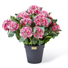 Load image into Gallery viewer, Pink Hydrangea Urn Filler
