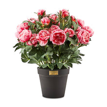 Load image into Gallery viewer, Pink Peony Urn Filler
